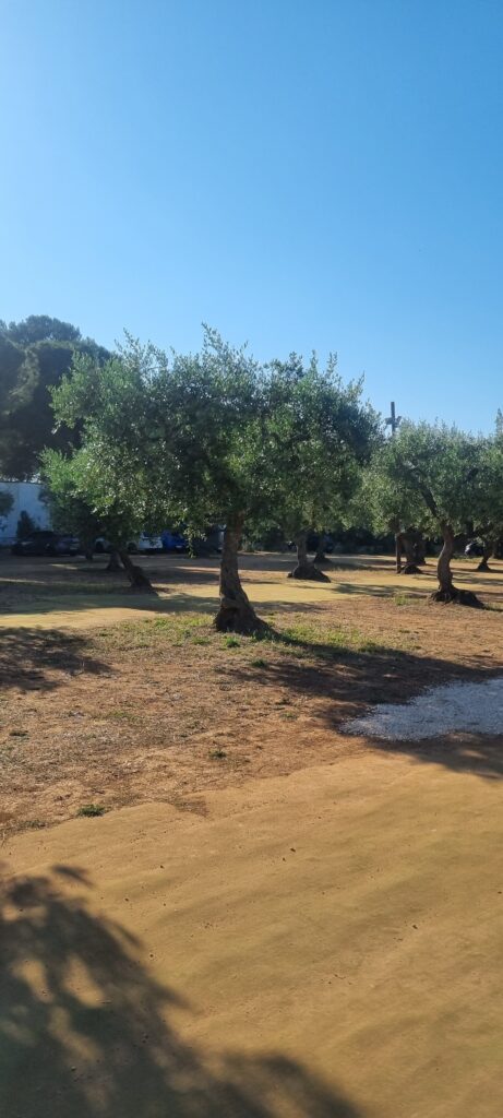 ALBEROBELLO PARKING DOWNTOWN 의 모습, 야외주차장이고 유료이다