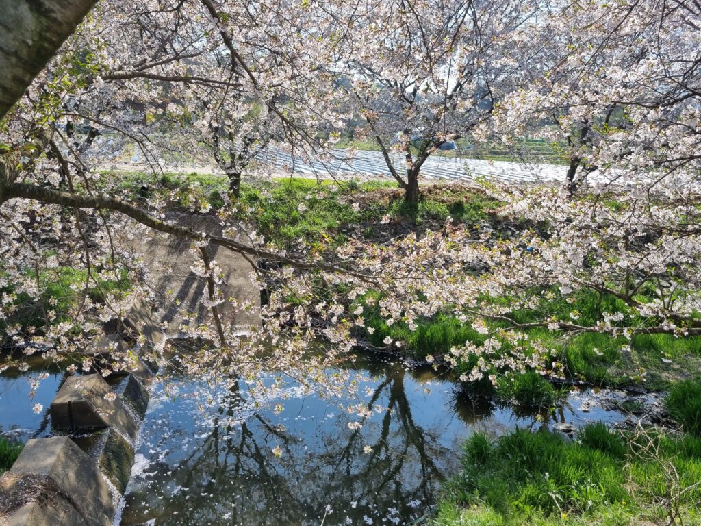 chungchungnamdo Dangjin-cheon(streams)